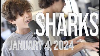 SHARKS Imagine Dragons cover Jan 4 2024 [upl. by Bea617]