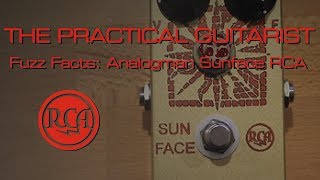 Fuzz Facts Sunface DemoReview [upl. by Beatrisa]