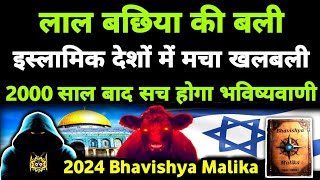 2024 सच होगा Red Heifer Prophecy आरंभ होगा Armageddon  2024 Bhavishya Malika I 1064 I ViralOdisha [upl. by Goulet]