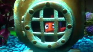 Finding Nemo Nemo Dub 2 [upl. by Mukul513]