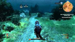 The Witcher 3 Race The Great Erasmus Vegelbud Memorial Derby [upl. by Eitten]