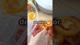 DIY Dehydrator Snacks Easy amp Delicious 🍎🥩 [upl. by Ahsataj]