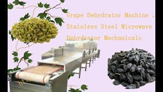 Grape Dehydrator Machine ，Stainless Steel Microwave Dehydrator Mechanical [upl. by Spielman]