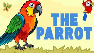 All about animals  Amazing Parrots  Fun Facts for Kids [upl. by Rox651]