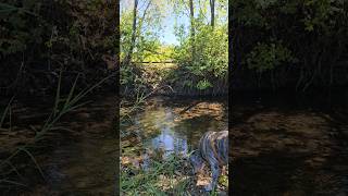 Keremeos Creek britishcolumbia nature canada [upl. by Resee]