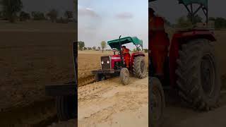 The whole world will rejoice after watching this video of Rajasthan Amazing reel [upl. by Yolanda]