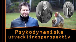 Psykodynamiska perspektiv på utveckling Från Freud till Anknytningsteorin [upl. by Aleahc]