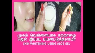 முகம் வெள்ளையாக கற்றாழை ஜெல் இப்படி பயன்படுத்தலாமா  SKIN WHITENING USING ALOE GEL [upl. by Rains]