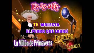 Un Millon de Primaveras Vicente Fernandez  karaoke [upl. by Eibot]