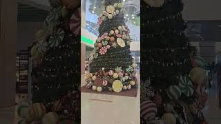 christmas tree🎄giant shorts christmastree christmas [upl. by Ayifas]