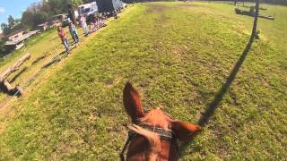 PARCOUR CONCOURS COMPLET DEQUITION CCE  CROSS CLUB ELITE [upl. by Kath188]