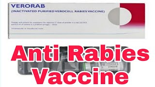 5th and Last Dose Anti RabiesVerorab Vaccine [upl. by Engapmahc513]