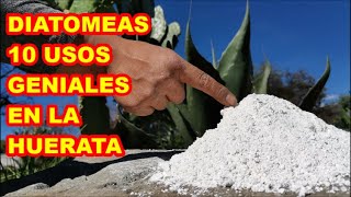 DIATOMEAS 10 usos en la HUERTA que necesitas SABER✅ [upl. by Lydie]