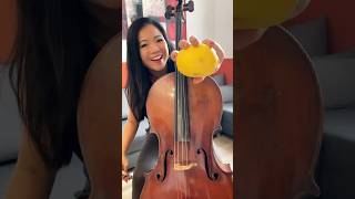 Lemon 🍋 Cello Vibrato Practice [upl. by Eelime]