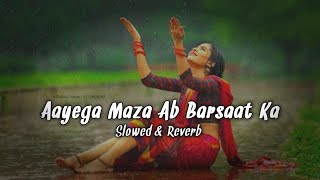 Aayega Maza Ab Barsaat Ka  Andaaz  slowed amp lofi [upl. by Ajram]