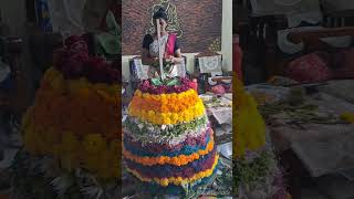 Saddhula bathukamma Celebrations bathukamma telangana culture devotional navarathripooja durga [upl. by Acired]