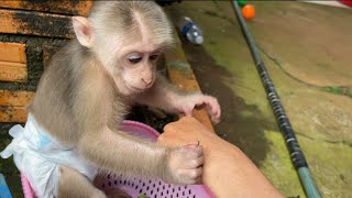 Alien love vegetarian food Abi catch mosquito from mom hand to eat [upl. by Akeryt666]