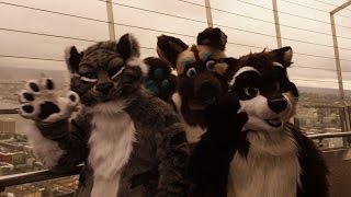 Anthro Northwest 2017 Promo Video [upl. by Anet]