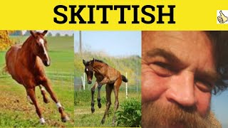 🔵 Skittish Meaning  Skittish Examples  Skittish Definition  Skittish Skittishly Skittishness [upl. by Nnywg802]