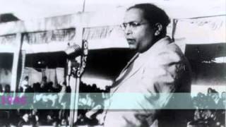 Dr Ambedkars Speech in Parliament [upl. by Forras]