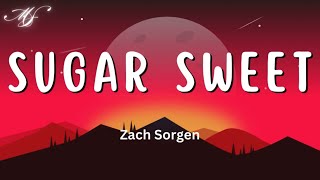 Sugar Sweet Lyrics  Zach Sorgen [upl. by Ferneau]