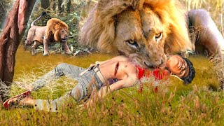 Lion attack buffalo in African forest  lion attack animal  lion attack video stories part32 [upl. by Zerdna325]