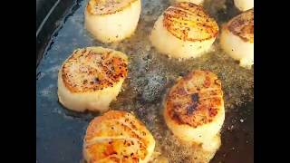 Grilled Sea Scallops [upl. by Aloisius]