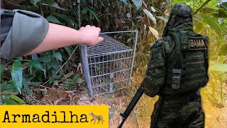 ENCONTREI UMA ARMADILHA DE CAÇA NO MEU SÍTIO [upl. by Ilehs]