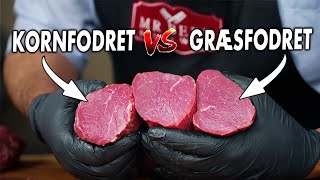 Vi Tester Forskellen På Græsfodret vs Kornfodret Oksemørbrads [upl. by Enos]