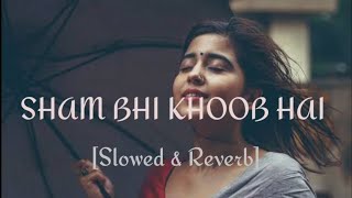 Shaam Bhi Khoob Hai lofi song Karz  Udit Narayan  Slowed  Reverb  RitikAUDIOS cblofistudio [upl. by Etka]