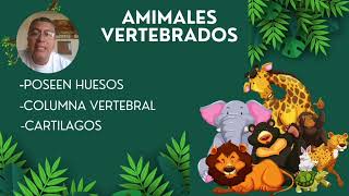 Animales vertebrados e invertebrados [upl. by Noir978]