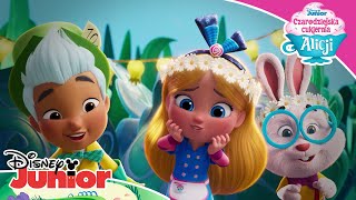 🌺 Wiosna  Myszka Miki Frajdomek amp Czarodziejska cukiernia Alicji  Disney Junior Polska [upl. by Nylleoj]