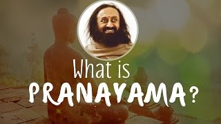 What is Prana and Pranayama  Gurudev Sri Sri Ravi Shankar [upl. by Nileuqcaj640]