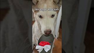 DIY Paper Rose Gift 🌹🐾 gift Rose papercraft DiY asmr shorts [upl. by Htennek]