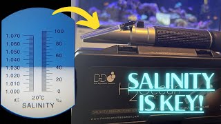 What Is Salinity amp How to Keep it PERFECT in Your Reef Tank [upl. by Rebmat]