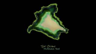 Tyler Childers  Whitehouse Road [upl. by Kletter970]