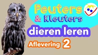 Dierennamen  Eerste Woordjes  Dieren Leren Aflevering 2 Peuters en Kleuters [upl. by Ydaj]