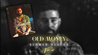 OLD MONEY X AP DHILLON  OLD MONEY SLOWED REVERB  AP DHILLON STATUS [upl. by Newg]