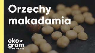 Orzechy makadamia  jak rozpoznać świeże [upl. by Stokes]