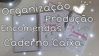 Organizando  Encomendas Produção e Caderno Caixa  Variedades DIY [upl. by Iramo]