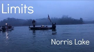 BFL Tournament No1 Norris Lake Recap  Limits S1E3 [upl. by Saraiya]