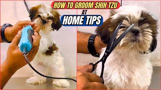 How to Groom Shih Tzu Dog🐕 at Home Tips in Telugu  Dog Grooming Videos  Pet Lovers [upl. by Bertelli196]