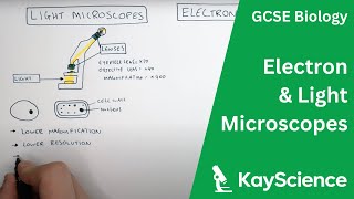 Electron vs Light Microscopes Explained  GCSE Biology  kaysciencecom [upl. by Brenda]