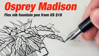 Osprey Madison flex nib fountain pen review [upl. by Stelmach]