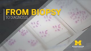 From Biopsy to Diagnosis [upl. by Aivlis679]