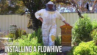 Urban Beekeeping for Beginners Backyard Beekeeping using a Flow Hive Set Up  The Bush Bee Man [upl. by Toft]