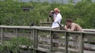 Everglades National Park 3minute Tour [upl. by Neelyt266]