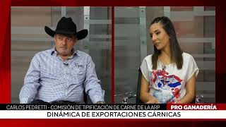 Dinámica de exportaciones cárnicas [upl. by Lenrad]