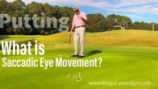 Saccadic Eye Movement and Putting  The Golf Paradigm [upl. by Laehpar45]