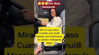 ¿Una 🫏 Mula manejando firmesconpetro viralvideo 1demayo uribista bogota milei humor cop16ca [upl. by Letnwahs440]